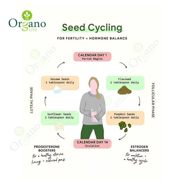 PCOS seeds cycle kit - Image 2