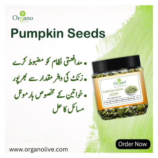 Pumpkin Seeds Green Original Imported Without Shell | Kadu K Beej Unshelled